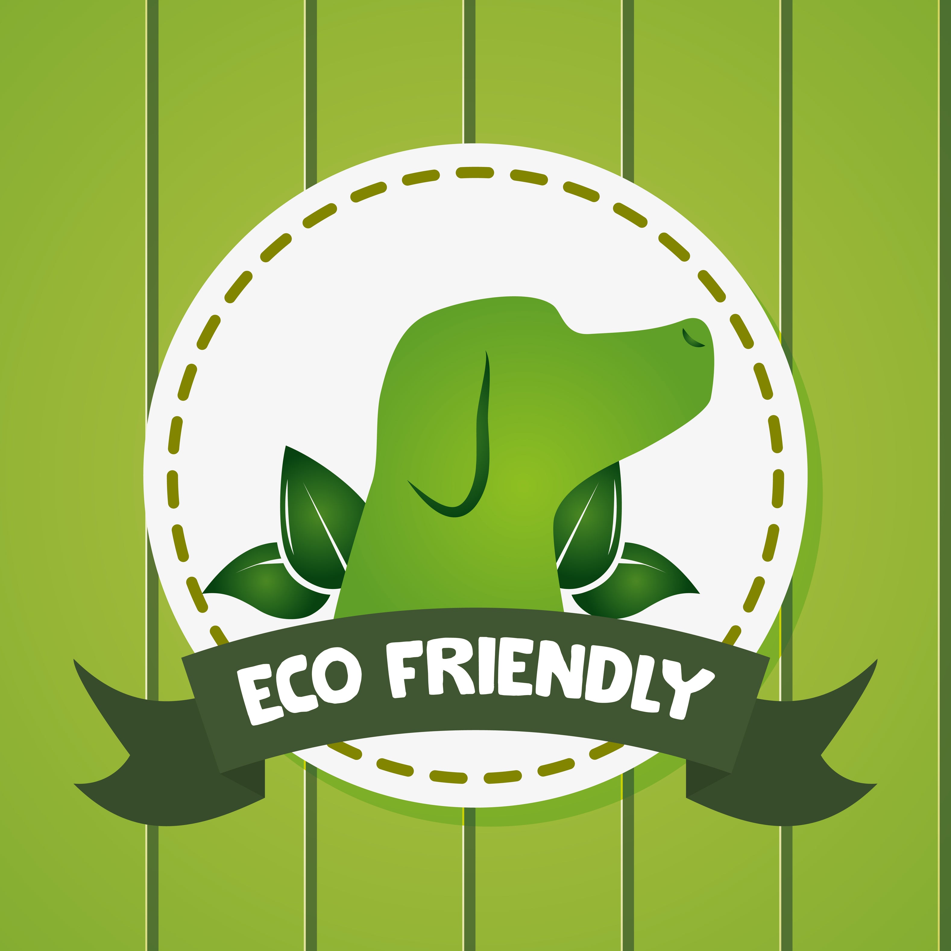 6 Ways to be Eco-Friendly as a Pet Owner