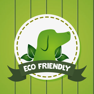 6 Ways to be Eco-Friendly as a Pet Owner